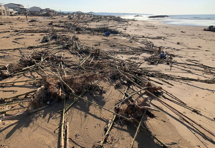 Scicli, canne spiaggiate da Arizza a Donnalucata: controlli per evitare roghi