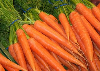 Mangiare la carota fa bene alla salute? Principi nutritivi e dieta