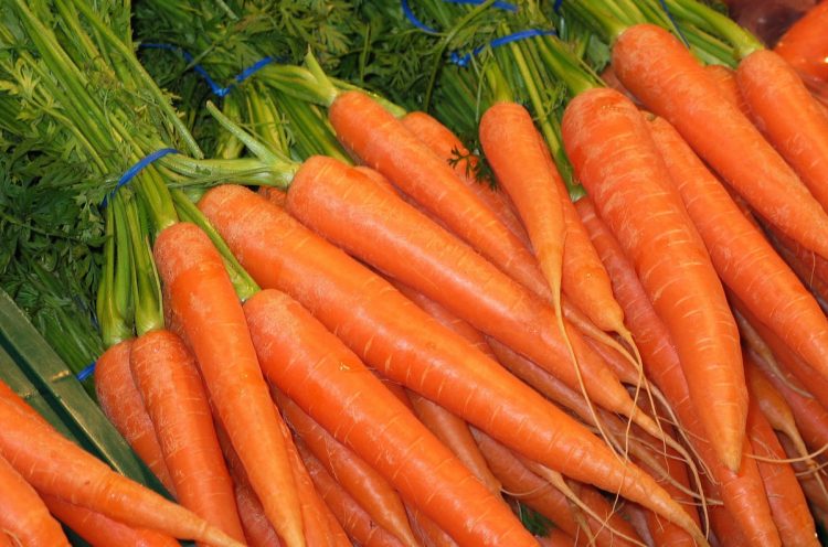 Mangiare la carota fa bene alla salute? Principi nutritivi e dieta