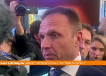 Regionali, Lollobrigida “Il centrodestra cresce”