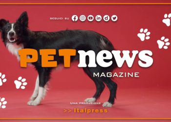 PetNews Magazine – 28/2/2023