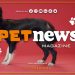 PetNews Magazine – 28/2/2023