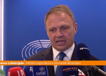 Migranti, Lollobrigida “Serve azione europea per evitare tragedie”