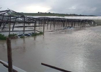 Maltempo, Confagricoltura Sicilia: attivare lo stato di calamità