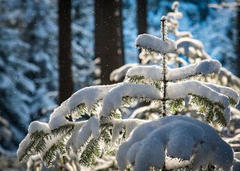 Nevica in Sicilia, maltempo fino a venerdì