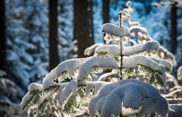 Nevica in Sicilia, maltempo fino a venerdì