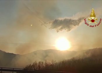 In fiamme un bosco in provincia di Isernia