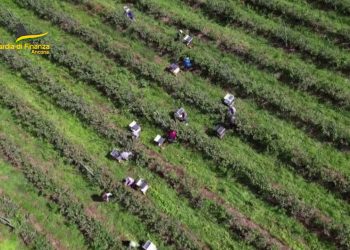 Caporalato, ad Ancona un arresto e dodici denunce
