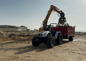 Sindaco di Scicli: entro 20 giorni le spiagge saranno rimosse le canne spiaggiate