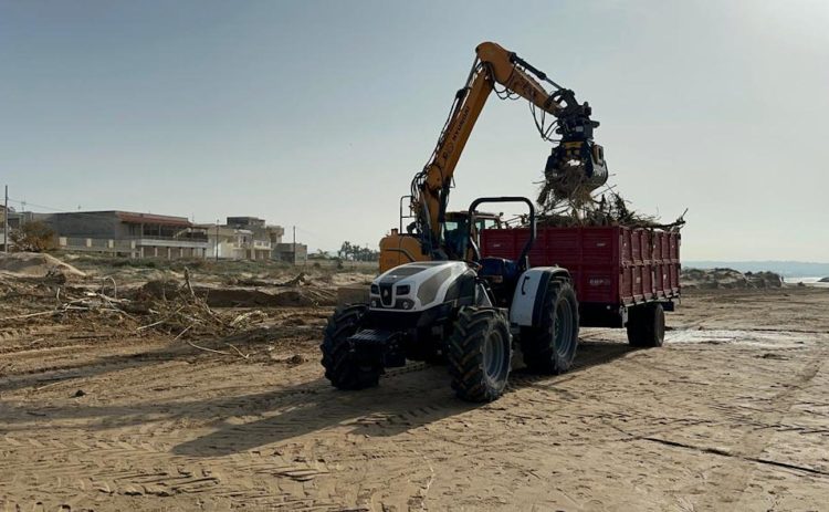 Sindaco di Scicli: entro 20 giorni le spiagge saranno rimosse le canne spiaggiate