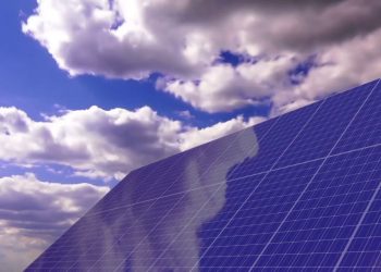 Gli atenei piemontesi fanno squadra per la sostenibilità