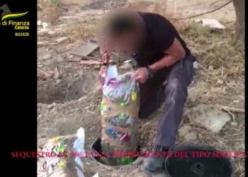 Gdf sequestra 435 kg di marijuana e 11 mila piante di cannabis