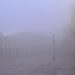 La 'lupa di mare' a Siracusa: avvolta nella nebbia