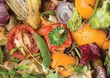 Legambiente ha celebrato la Giornata contro lo spreco alimentare con studenti Ferraris Ragusa