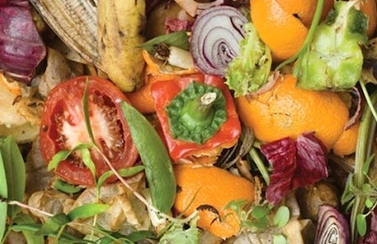 Legambiente ha celebrato la Giornata contro lo spreco alimentare con studenti Ferraris Ragusa