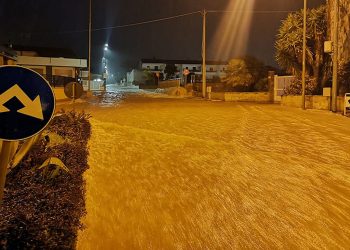 Forte maltempo a Ragusa: strade come fiumi e alberi sradicati