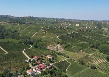 Intesa Sanpaolo, al via la serie podcast “Terra: le radici del futuro”