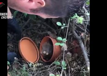 ‘Ndrangheta, blitz nel crotonese con 31 arresti