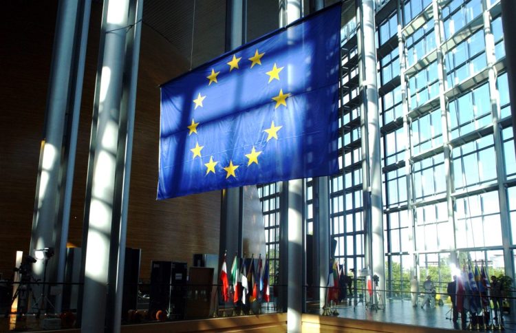 Georgia, manifestanti bruciano bandiera Ue