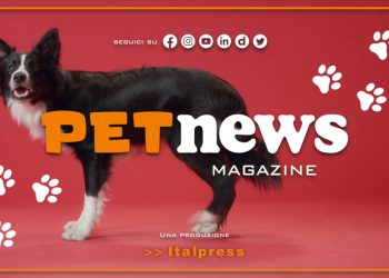 PetNews Magazine – 7/3/2023