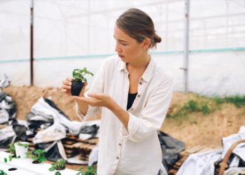 Ue, 37 miliardi in 5 anni per la nuova Pac