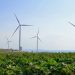 Comunità energetiche, l’Italia avvia l’iter con l’Ue