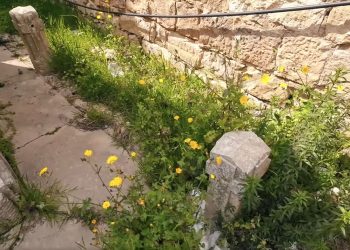 Il candidato a sindaco di Comiso Liuzzo su criticità cimitero