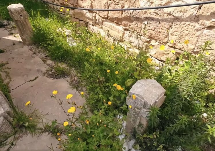 Il candidato a sindaco di Comiso Liuzzo su criticità cimitero