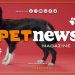 PetNews Magazine – 21/3/2023