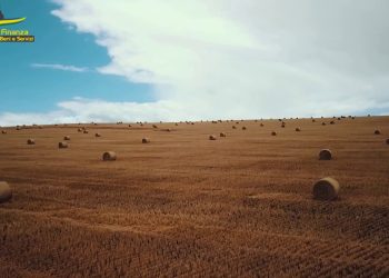 Pirateria agroalimentare, tre denunce tra Puglia e Sicilia