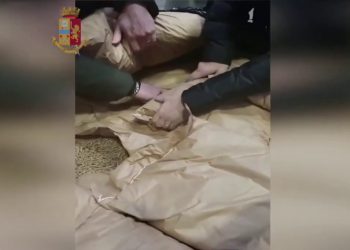 Torino, sequestrata droga per 6 milioni di euro