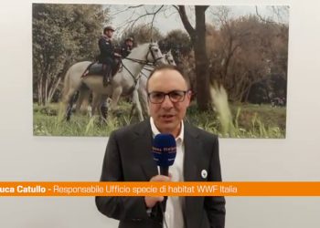 Ambiente, Catullo “Una seconda popolazione per il cervo italico”