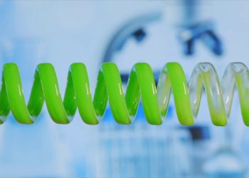 Auto, il futuro non è solo elettrico