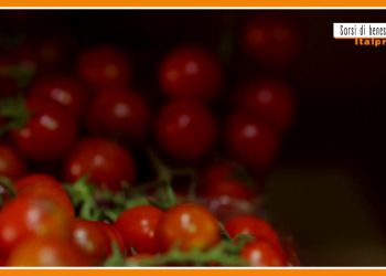 Sorsi di benessere – Un estratto alleato della pelle