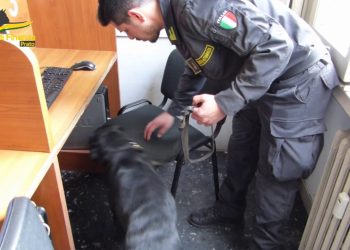 Prato, bisca clandestina in un circolo culturale