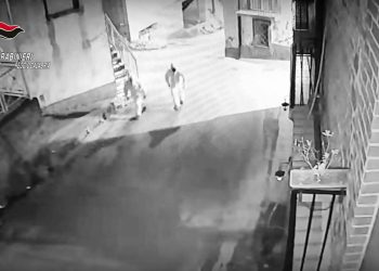 Intimidazioni, armi e droga, 11 giovani arrestati tra Calabria e Lazio