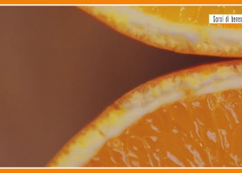 Sorsi di benessere – Tre ingredienti per una tisana antiage