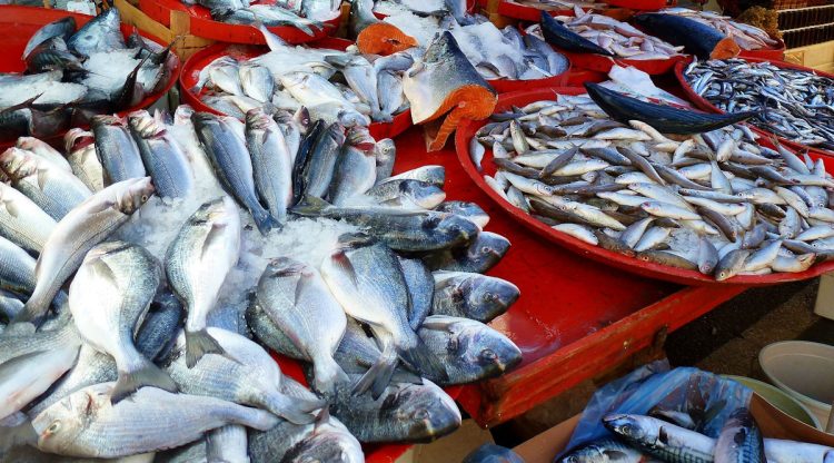Bando per mercato ittico a Marina di Ragusa