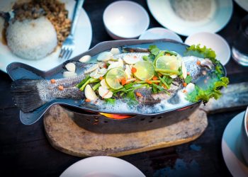 Dieta, perdere peso allunga la vita: linee guida per una dieta sana