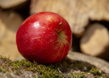 Dieta 600 calorie super dimagrante: menù