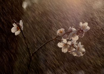 Meteo: equinozio di primavera con temporali lampo