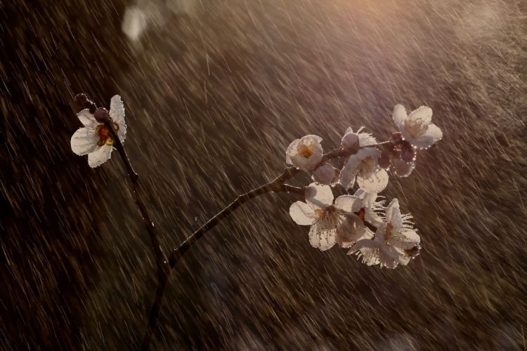 Meteo: equinozio di primavera con temporali lampo