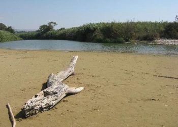 Goletta Verde, mare di Sicilia sotto esame: criticità in 11 punti costieri, foci dei fiumi sorvegliate speciali