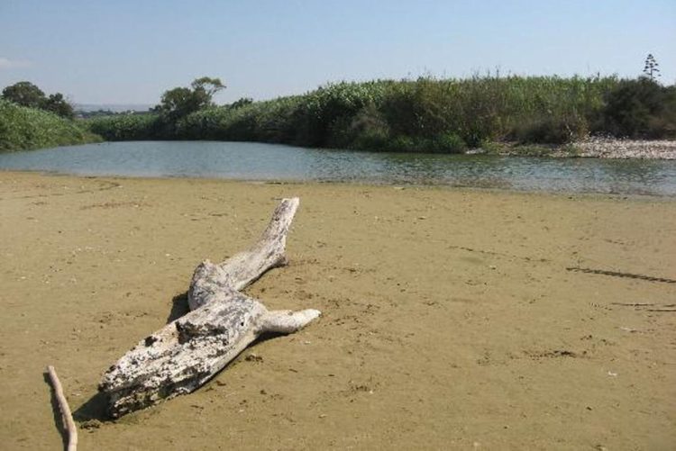 Goletta Verde, mare di Sicilia sotto esame: criticità in 11 punti costieri, foci dei fiumi sorvegliate speciali