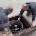 Gasolio non conforme, denunciato gestore distributore nel milanese
