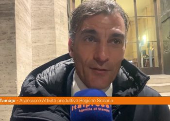 Almaviva, Tamajo “Presto in Cdm provvedimento per tutela occupazione”