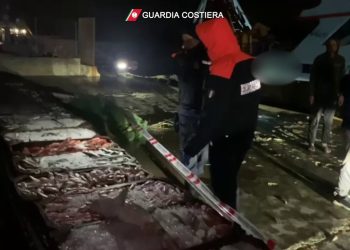 Peschereccio egiziano in acque italiane, denuncia e sequestro