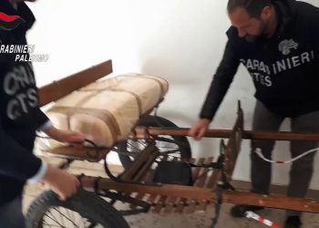 Corse di cavalli clandestine a Palermo, denunciato 28enne