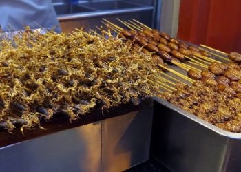 Il mercato della carne sintetica vale 1,3 miliardi