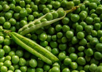 Mangiare piselli fa bene alla salute